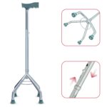 Best Walking Stick for Adults