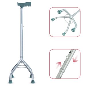 Best Walking Stick for Adults