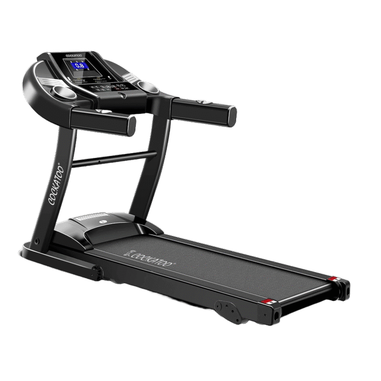 Motorized Treadmill: A Safe Step Towards Fitness for People with Limited Mobility