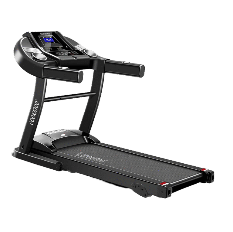 Motorized Treadmill: A Safe Step Towards Fitness for People with Limited Mobility